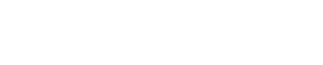 NCA Nederlandse Chiropractoren Associatie